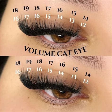 wispy cat eye mappingcreating   lashezzbysierra lashes eyelash