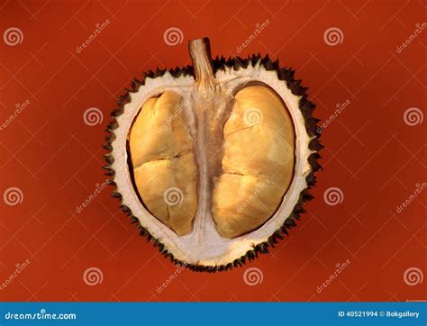 Durian, Malaysia Local Fruit Stock Photo | CartoonDealer.com #212125146