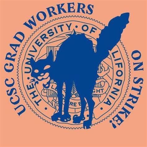 uc santa cruz  strike mobilizing  digital  physical spaces