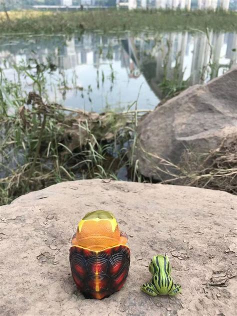 Yellow-margined Box Turtle Model – Lana Time Shop