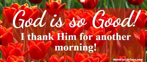 god   good word  life