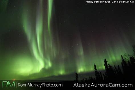 Northern Lights In Fairbanks Ak Webcam | Americanwarmoms.org