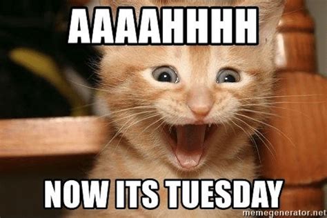 15 Happy Tuesday Memes - Best Funny Tuesday Memes