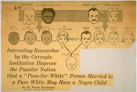 An Introduction to Miscegenation - The Road to Conquering Prejudice: Loving v. Virginia