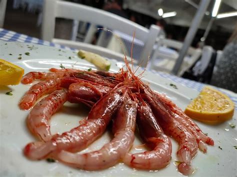 gambero rosso porticello largo trizzano  restaurant reviews