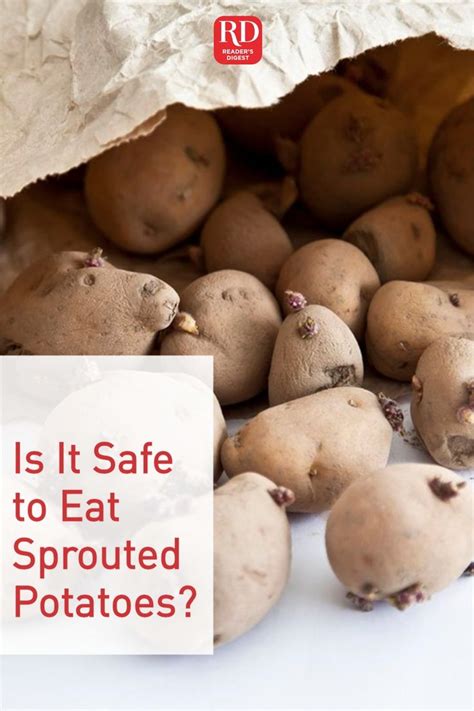 Is It Safe to Eat Sprouted Potatoes? | Potatoes, Sprouting potatoes