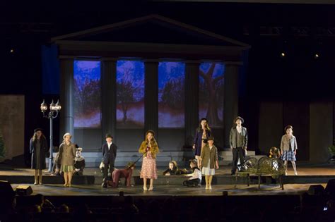 The 101 Dalmatians Musical | UngerDirect.com