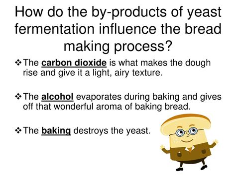 microbiology  yeast cell fermentation powerpoint