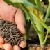 Удобрение Оргавит Куриный помет гранулированный: инструкция по ...