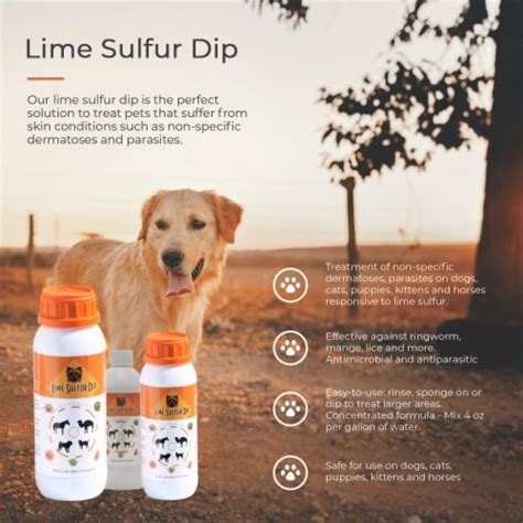 Healthy Paw Life - Lime Sulfur Dip, 1 Ct / 16 oz - King Soopers