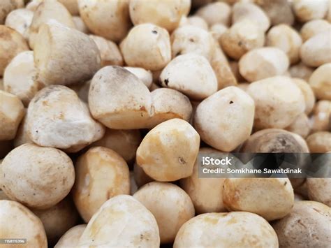 jamur jerami  jenis jamur   dimakan dibudidayakan