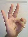 數字手勢 - Wikipedia