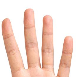 Body Parts 2 - English Vocabulary - Linguasorb