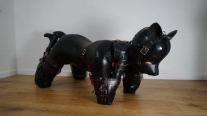 Puppy play Bondage Kit – Dotty After Midnight