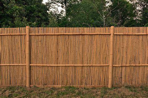 Natural Bamboo Fencing | Bamboo Toronto Store