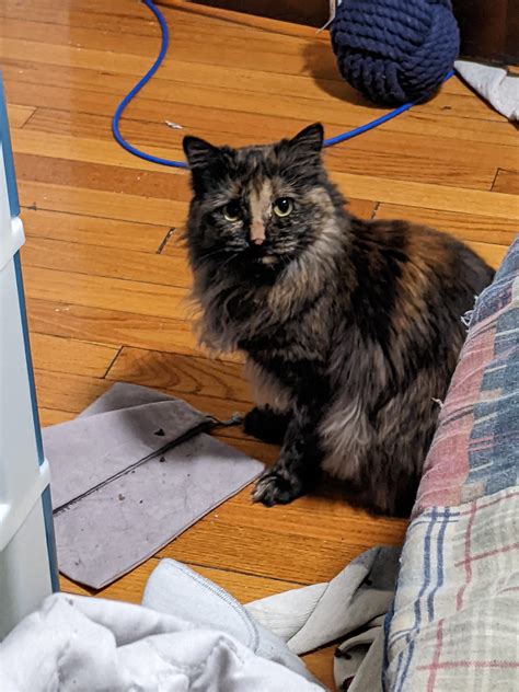 Locals are debating the ethics of recently booked maine websites 8