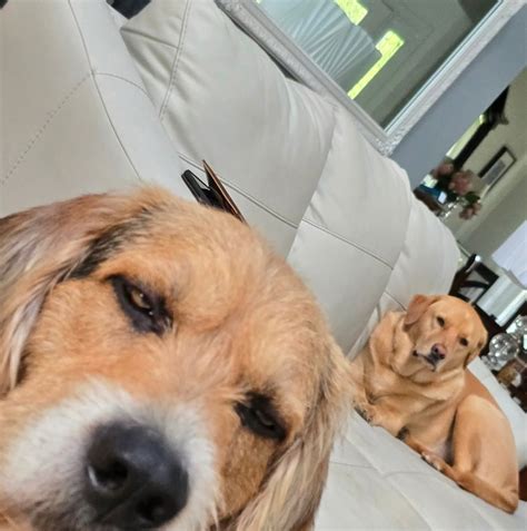 Local residents rely on the post office in everett every day 24