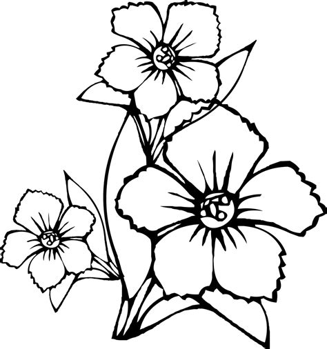 rainforest drawings easy 3