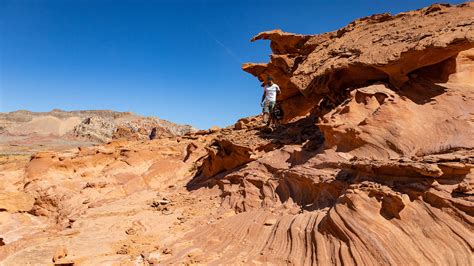 Nevada Rockhounding | Nevada Geology | Nevada Fossils