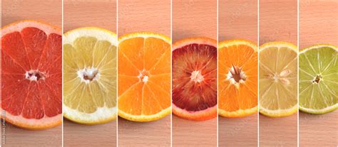 types  citrus arranged  size grapefruit orange