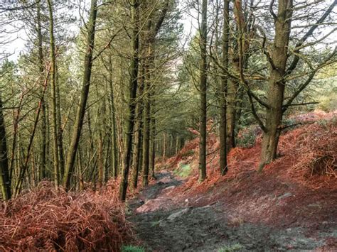 Roseberry Topping Walk: Everything you need to know - She walks in England