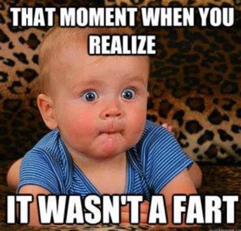 35 Funny Quotes and Sayings – FunZumo