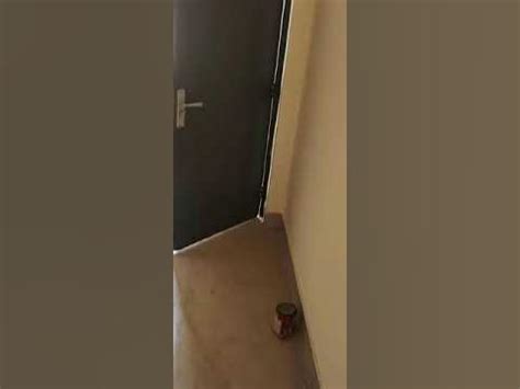 bhk flat gaz side road flat  sale flatsforsale financial