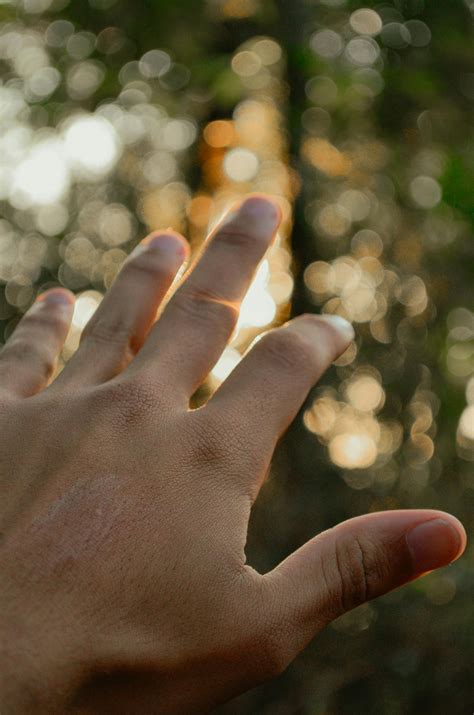 close  photography  hand  window  stock photo