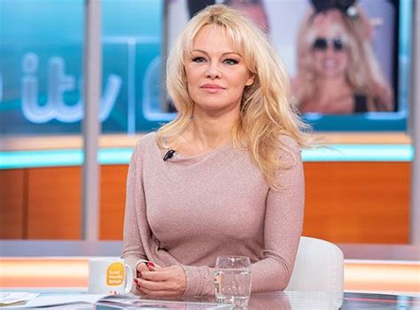 pamela anderson biography tv shows movies facts britannica