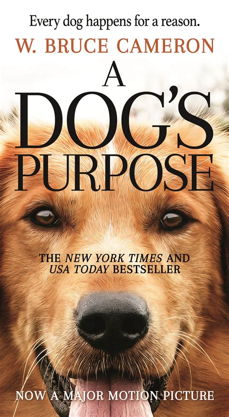 A Dogs Purpose Bailey Dog Breed - PUPPY CUTE DOG