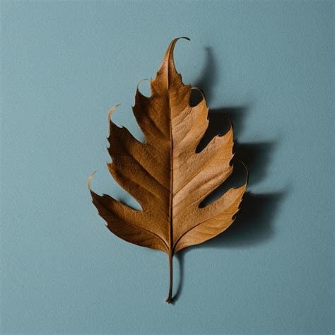 cool objectnaturalstill life premium ai generated image